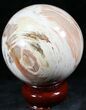 Colorful Petrified Wood Sphere #26633-1